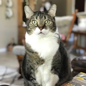 Meet your Posher, Barbara